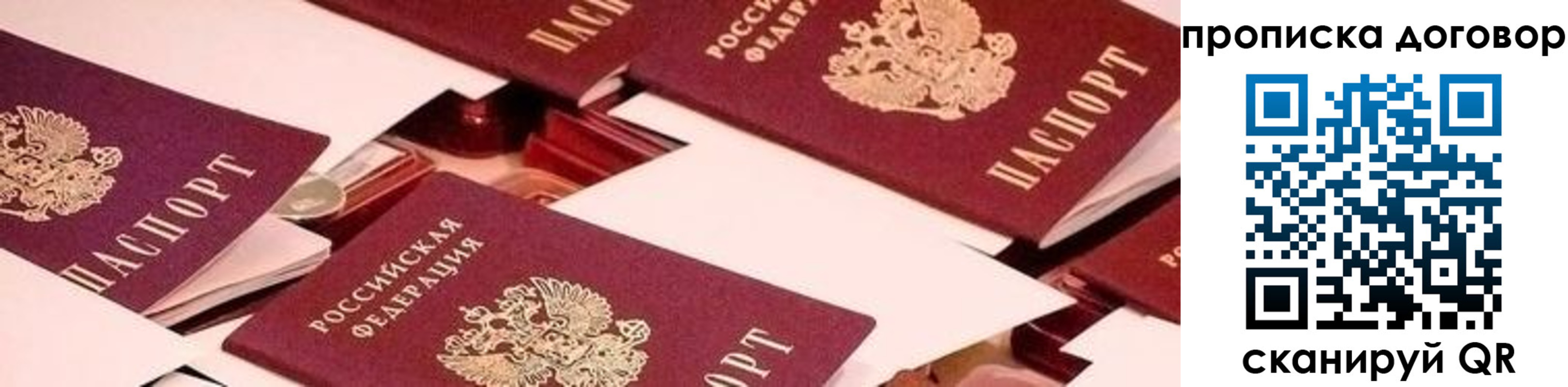 прописка 2025 в Волгограде